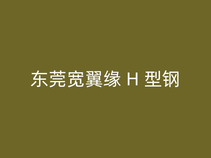 東莞寬翼緣 H 型鋼